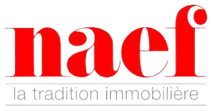 <strong>Naef immobilier</strong>